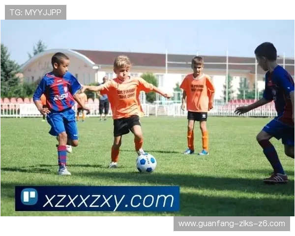 星空体育网页版登录入口，开启你的体育竞技新体验与激情